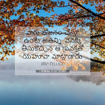 Picture 07 - 1 రాజులు 13:20 TELIRV - వారు భోజనం చేస్తూ - Bible Verse Picture