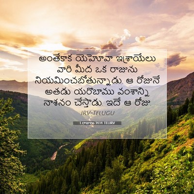 Picture 07 - 1 రాజులు 14:14 TELIRV - అంతేకాక యెహోవా - Bible Verse Picture