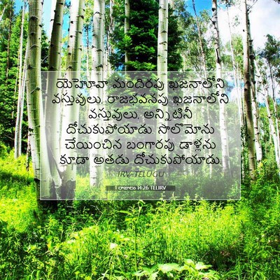 Picture 07 - 1 రాజులు 14:26 TELIRV - యెహోవా మందిరపు - Bible Verse Picture
