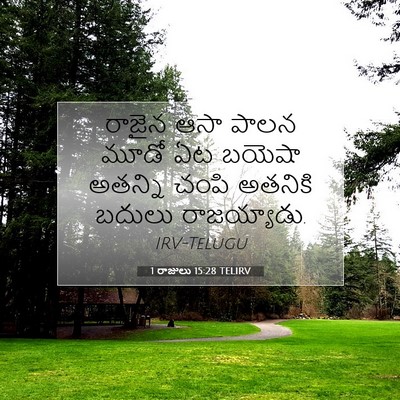 Picture 07 - 1 రాజులు 15:28 TELIRV - రాజైన ఆసా పాలన - Bible Verse Picture