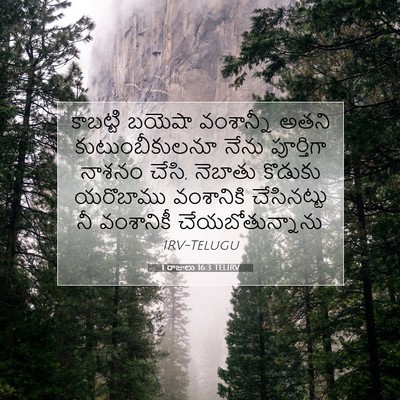Picture 07 - 1 రాజులు 16:3 TELIRV - కాబట్టి బయెషా - Bible Verse Picture