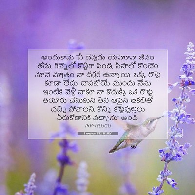 Picture 07 - 1 రాజులు 17:12 TELIRV - అందుకామె “నీ - Bible Verse Picture