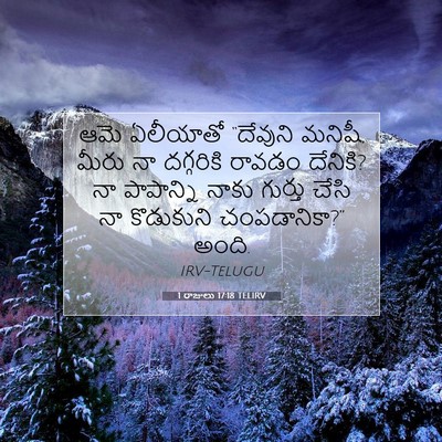 Picture 07 - 1 రాజులు 17:18 TELIRV - ఆమె ఏలీయాతో - Bible Verse Picture