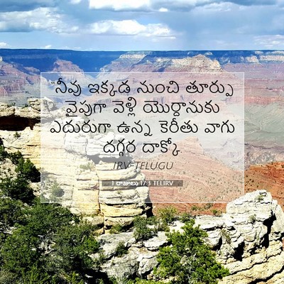 Picture 07 - 1 రాజులు 17:3 TELIRV - “నీవు ఇక్కడ నుంచి - Bible Verse Picture
