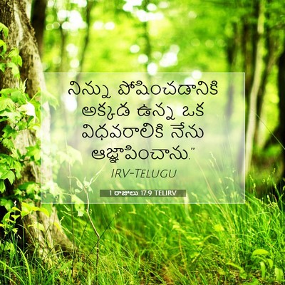 Picture 07 - 1 రాజులు 17:9 TELIRV - నిన్ను - Bible Verse Picture