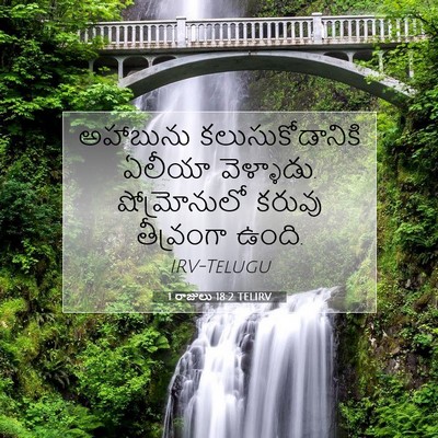 Picture 07 - 1 రాజులు 18:2 TELIRV - అహాబును - Bible Verse Picture