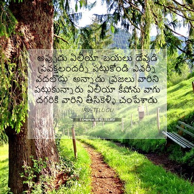 Picture 07 - 1 రాజులు 18:40 TELIRV - అప్పుడు ఏలీయా - Bible Verse Picture