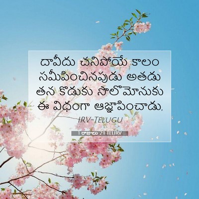 Picture 07 - 1 రాజులు 2:1 TELIRV - దావీదు చనిపోయే - Bible Verse Picture