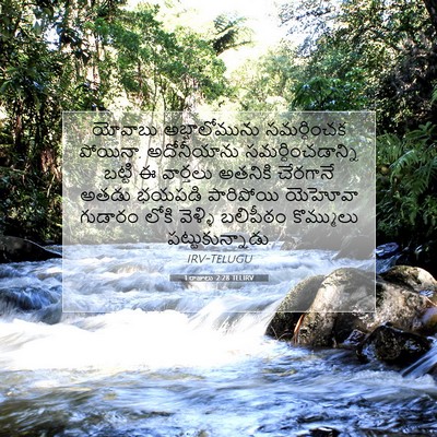 Picture 07 - 1 రాజులు 2:28 TELIRV - యోవాబు - Bible Verse Picture