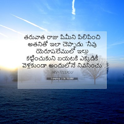 Picture 07 - 1 రాజులు 2:36 TELIRV - తరువాత రాజు - Bible Verse Picture