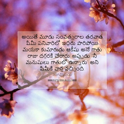 Picture 07 - 1 రాజులు 2:39 TELIRV - అయితే మూడు - Bible Verse Picture