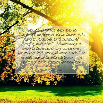 Picture 07 - 1 రాజులు 2:4 TELIRV - అప్పుడు ‘నీ - Bible Verse Picture