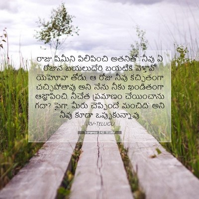 Picture 07 - 1 రాజులు 2:42 TELIRV - రాజు షిమీని - Bible Verse Picture