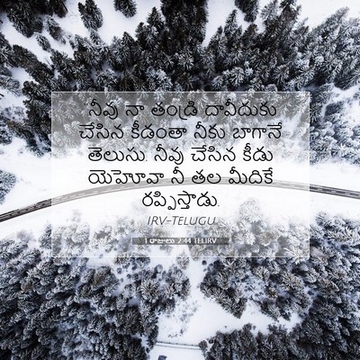 Picture 07 - 1 రాజులు 2:44 TELIRV - “నీవు నా తండ్రి - Bible Verse Picture