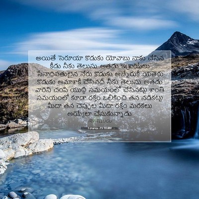 Picture 07 - 1 రాజులు 2:5 TELIRV - అయితే సెరూయా - Bible Verse Picture