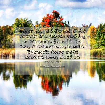 Picture 07 - 1 రాజులు 20:36 TELIRV - అప్పుడా ప్రవక్త - Bible Verse Picture