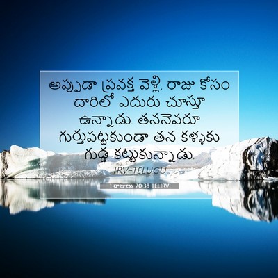 Picture 07 - 1 రాజులు 20:38 TELIRV - అప్పుడా ప్రవక్త - Bible Verse Picture
