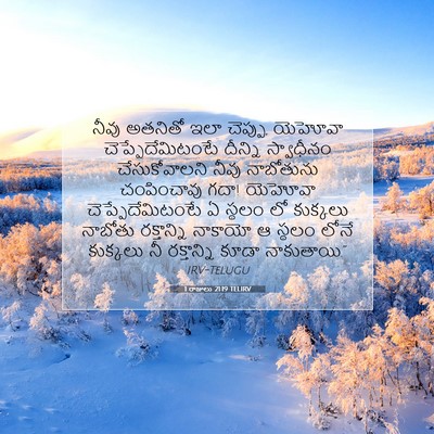 Picture 07 - 1 రాజులు 21:19 TELIRV - నీవు అతనితో ఇలా - Bible Verse Picture