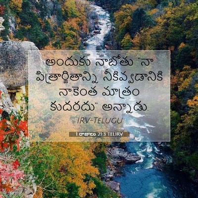 Picture 07 - 1 రాజులు 21:3 TELIRV - అందుకు నాబోతు “నా - Bible Verse Picture
