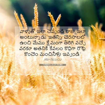 Picture 07 - 1 రాజులు 22:27 TELIRV - వాళ్ళతో ఇలా - Bible Verse Picture