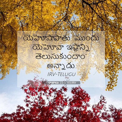 Picture 07 - 1 రాజులు 22:5 TELIRV - యెహోషాపాతు “ముందు - Bible Verse Picture