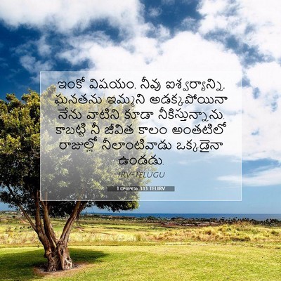 Picture 07 - 1 రాజులు 3:13 TELIRV - ఇంకో విషయం, నీవు - Bible Verse Picture