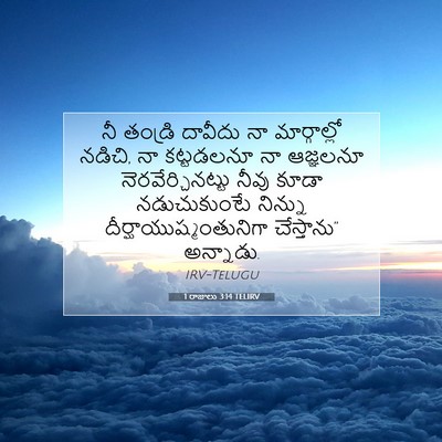 Picture 07 - 1 రాజులు 3:14 TELIRV - నీ తండ్రి దావీదు - Bible Verse Picture
