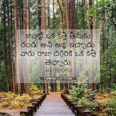Picture 07 - 1 రాజులు 3:24 TELIRV - కాబట్టి ఒక కత్తి - Bible Verse Picture