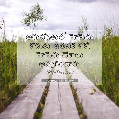 Picture 07 - 1 రాజులు 4:10 TELIRV - అరుబ్బోతులో - Bible Verse Picture