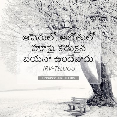 Picture 07 - 1 రాజులు 4:16 TELIRV - ఆషేరులో, ఆలోతులో - Bible Verse Picture