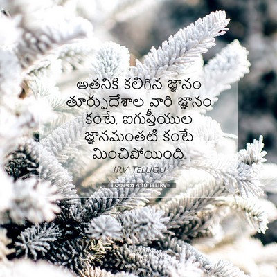 Picture 07 - 1 రాజులు 4:30 TELIRV - అతనికి కలిగిన - Bible Verse Picture