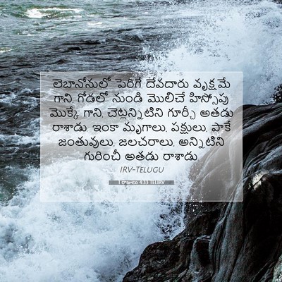 Picture 07 - 1 రాజులు 4:33 TELIRV - లెబానోనులో పెరిగే - Bible Verse Picture