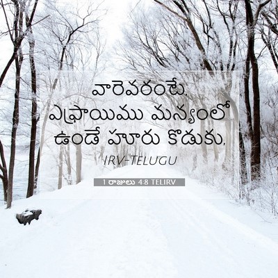 Picture 07 - 1 రాజులు 4:8 TELIRV - వారెవరంటే, - Bible Verse Picture