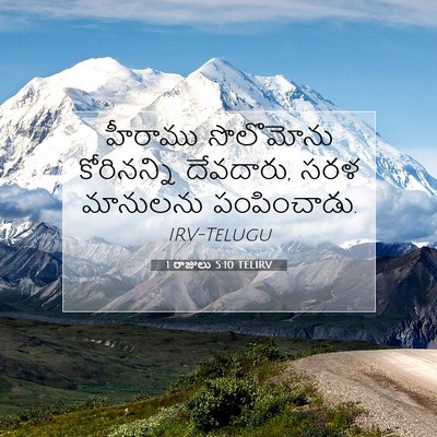 Picture 07 - 1 రాజులు 5:10 TELIRV - హీరాము సొలొమోను - Bible Verse Picture