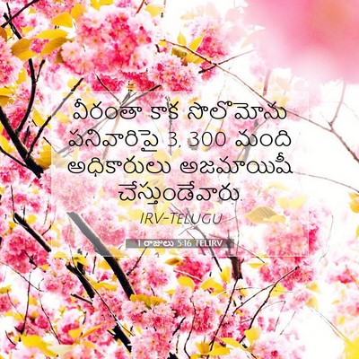 Picture 07 - 1 రాజులు 5:16 TELIRV - వీరంతా కాక - Bible Verse Picture