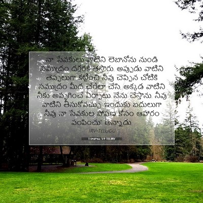 Picture 07 - 1 రాజులు 5:9 TELIRV - నా సేవకులు వాటిని - Bible Verse Picture