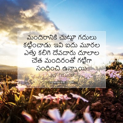 Picture 07 - 1 రాజులు 6:10 TELIRV - మందిరానికి చుట్టూ - Bible Verse Picture