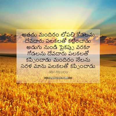 Picture 07 - 1 రాజులు 6:15 TELIRV - అతడు మందిరం లోపలి - Bible Verse Picture