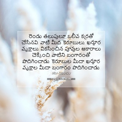 Picture 07 - 1 రాజులు 6:32 TELIRV - రెండు తలుపులూ - Bible Verse Picture