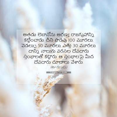 Picture 07 - 1 రాజులు 7:2 TELIRV - అతడు లెబానోను - Bible Verse Picture