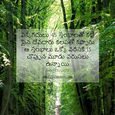 Picture 07 - 1 రాజులు 7:3 TELIRV - పక్కగదులు 45 - Bible Verse Picture