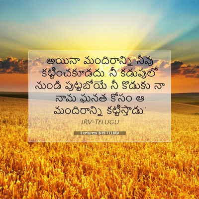 Picture 07 - 1 రాజులు 8:19 TELIRV - అయినా మందిరాన్ని - Bible Verse Picture