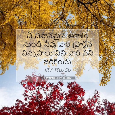 Picture 07 - 1 రాజులు 8:49 TELIRV - నీ నివాసమైన ఆకాశం - Bible Verse Picture