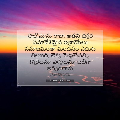 Picture 07 - 1 రాజులు 8:5 TELIRV - సొలొమోను రాజు, - Bible Verse Picture