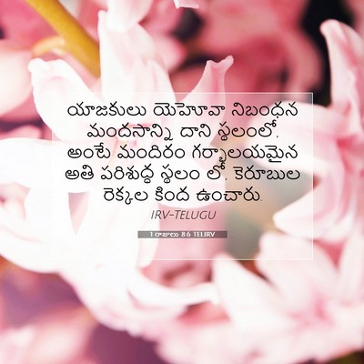 Picture 07 - 1 రాజులు 8:6 TELIRV - యాజకులు యెహోవా - Bible Verse Picture