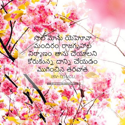 Picture 07 - 1 రాజులు 9:1 TELIRV - సొలొమోను యెహోవా - Bible Verse Picture