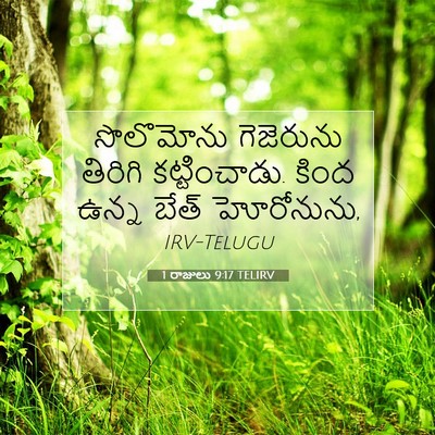Picture 07 - 1 రాజులు 9:17 TELIRV - సొలొమోను గెజెరును - Bible Verse Picture