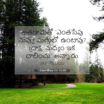 Picture 07 - 1 సమూయేలు 1:14 TELIRV - అతడామెతో “ఎంతసేపు - Bible Verse Picture