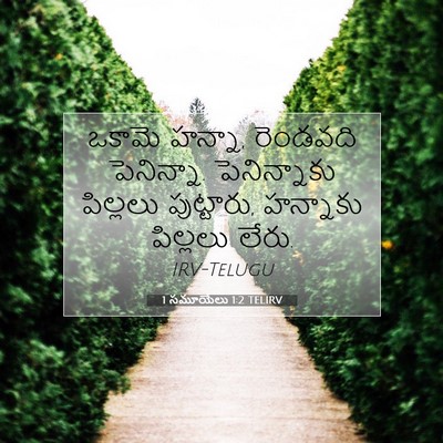 Picture 07 - 1 సమూయేలు 1:2 TELIRV - ఒకామె హన్నా, - Bible Verse Picture