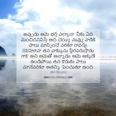 Picture 07 - 1 సమూయేలు 1:23 TELIRV - అప్పుడు ఆమె భర్త - Bible Verse Picture